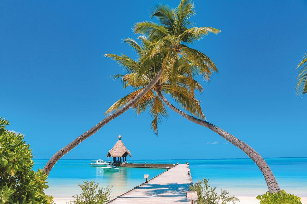 Zwei sich über dem Strand neigende Palmen rahmen einen Steg